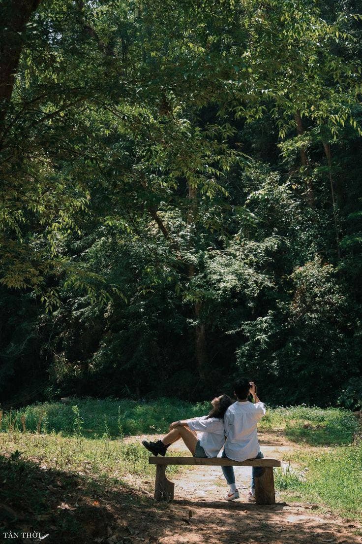 Reference — quiet moment on a forest bench